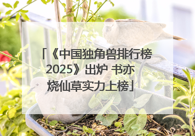 《中国独角兽排行榜2025》出炉 书亦烧仙草实力上榜