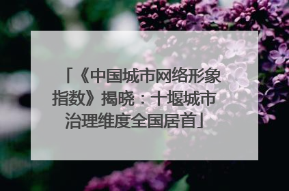 《中国城市网络形象指数》揭晓：十堰城市治理维度全国居首