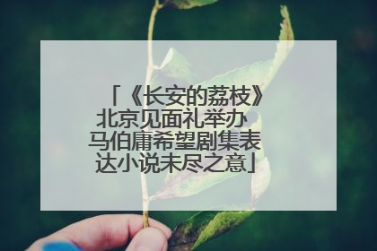 《长安的荔枝》北京见面礼举办 马伯庸希望剧集表达小说未尽之意
