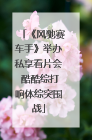 《风驰赛车手》举办私享看片会 酷酷综打响体综突围战