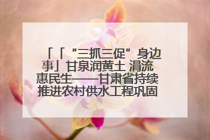 「“三抓三促”身边事」甘泉润黄土 涓流惠民生——甘肃省持续推进农村供水工程巩固提升项目建设