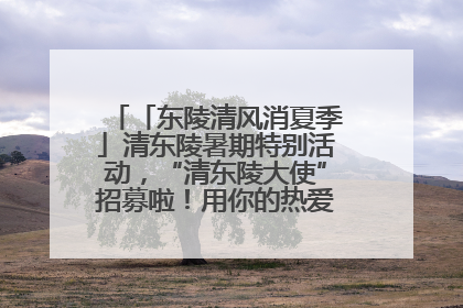 「东陵清风消夏季」清东陵暑期特别活动，“清东陵大使”招募啦！用你的热爱守护世界遗产！