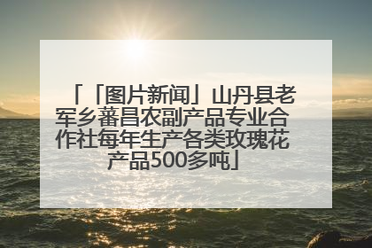 「图片新闻」山丹县老军乡蕃昌农副产品专业合作社每年生产各类玫瑰花产品500多吨