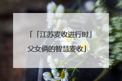 「江苏麦收进行时」父女俩的智慧麦收