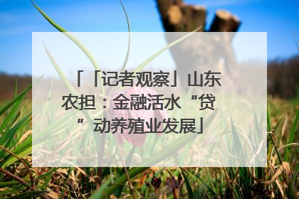 「记者观察」山东农担：金融活水“贷”动养殖业发展