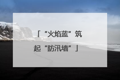 “火焰蓝”筑起“防汛墙”