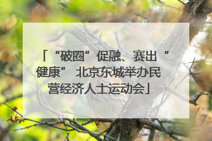 “破圈”促融、赛出“健康” 北京东城举办民营经济人士运动会