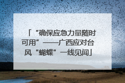 “确保应急力量随时可用”——广西应对台风“蝴蝶”一线见闻
