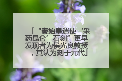 “秦始皇遣使‘采药昆仑’石刻”更早发现者为侯光良教授，其认为刻于元代