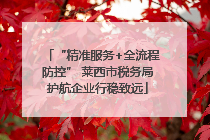 “精准服务+全流程防控” 莱西市税务局护航企业行稳致远