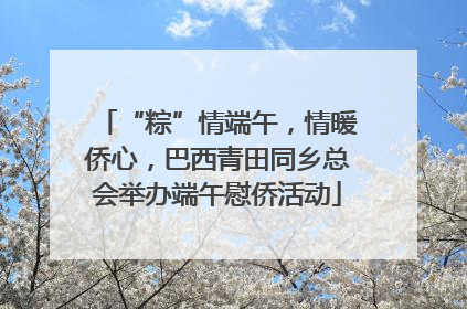 “粽”情端午，情暖侨心，巴西青田同乡总会举办端午慰侨活动