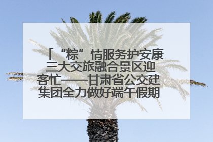 “粽”情服务护安康 三大交旅融合景区迎客忙——甘肃省公交建集团全力做好端午假期景区运营工作