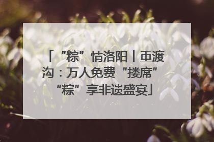 “粽”情洛阳丨重渡沟：万人免费“搂席” “粽”享非遗盛宴