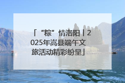 “粽”情洛阳丨2025年嵩县端午文旅活动精彩纷呈