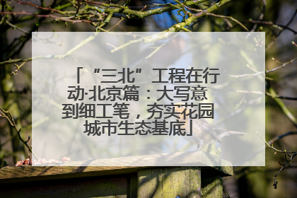“三北”工程在行动·北京篇：大写意到细工笔，夯实花园城市生态基底