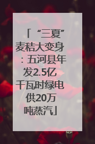 “三夏”麦秸大变身：五河县年发2.5亿千瓦时绿电 供20万吨蒸汽
