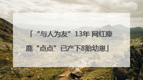 “与人为友”13年 网红麋鹿“点点”已产下8胎幼崽