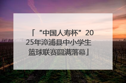 “中国人寿杯”2025年漳浦县中小学生篮球联赛圆满落幕