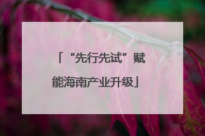 “先行先试”赋能海南产业升级