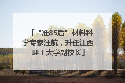 “准85后”材料科学专家汪航，升任江西理工大学副校长