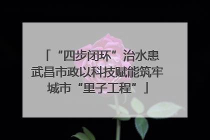 “四步闭环”治水患 武昌市政以科技赋能筑牢城市“里子工程”