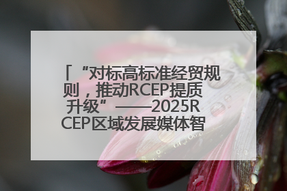 “对标高标准经贸规则，推动RCEP提质升级”——2025RCEP区域发展媒体智库论坛举行专题对话