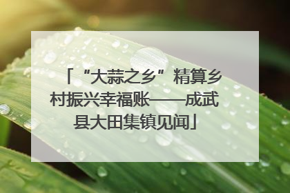 “大蒜之乡”精算乡村振兴幸福账——成武县大田集镇见闻