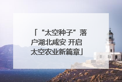 “太空种子”落户湖北咸安 开启太空农业新篇章