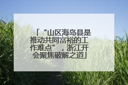 “山区海岛县是推动共同富裕的工作难点”，浙江开会聚焦破解之道
