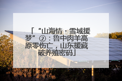 “山海情・雪域援梦”②：鲁中肉羊高原零伤亡，山东援藏破养殖密码