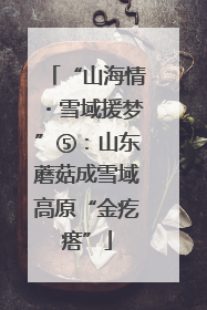 “山海情・雪域援梦”⑤：山东蘑菇成雪域高原“金疙瘩”