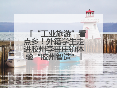 “工业旅游”看点多！外籍学生走进胶州李哥庄镇体验“胶州智造”