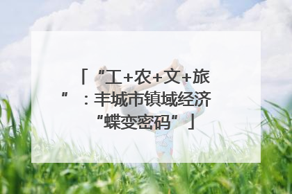 “工+农+文+旅”：丰城市镇域经济“蝶变密码”