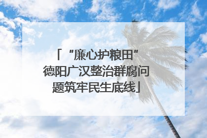 “廉心护粮田” 德阳广汉整治群腐问题筑牢民生底线