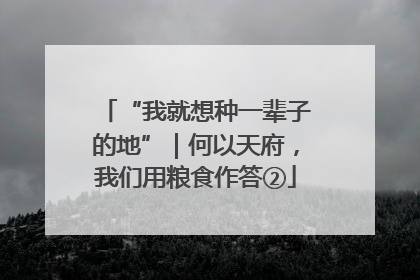 “我就想种一辈子的地”｜何以天府，我们用粮食作答②