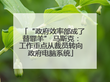 “政府效率部成了替罪羊” 马斯克：工作重点从裁员转向政府电脑系统