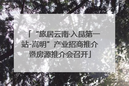 “旅居云南·入昆第一站-嵩明”产业招商推介暨房源推介会召开