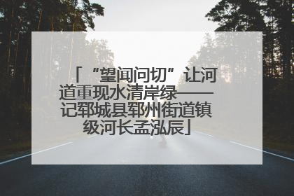 “望闻问切”让河道重现水清岸绿——记郓城县郓州街道镇级河长孟泓辰