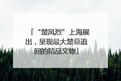 “楚风烈”上海展出，呈现最大楚墓追回的精品文物
