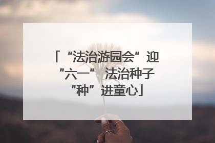 “法治游园会”迎“六一” 法治种子“种”进童心