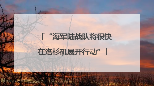 “海军陆战队将很快在洛杉矶展开行动”