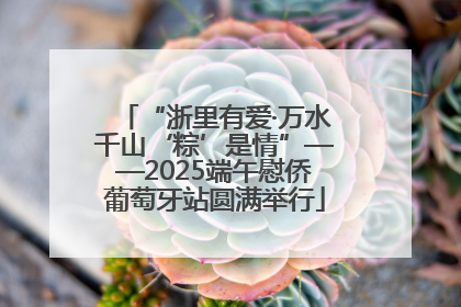 “浙里有爱·万水千山‘粽’是情”——2025端午慰侨葡萄牙站圆满举行