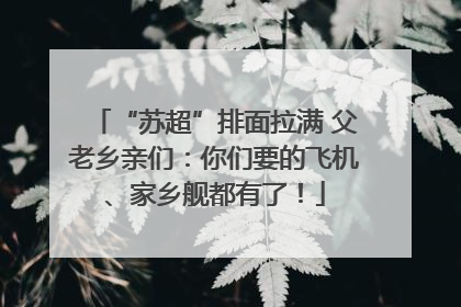 “苏超”排面拉满 父老乡亲们：你们要的飞机、家乡舰都有了！
