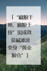 “藏粮于地、藏粮于技”见成效 盐碱滩涂变身“黄金粮仓”