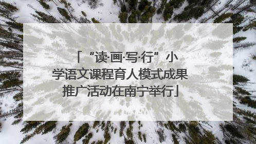 “读·画·写·行”小学语文课程育人模式成果推广活动在南宁举行