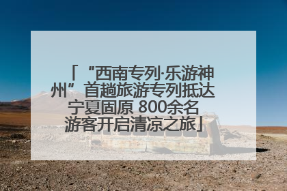 “西南专列·乐游神州”首趟旅游专列抵达宁夏固原 800余名游客开启清凉之旅