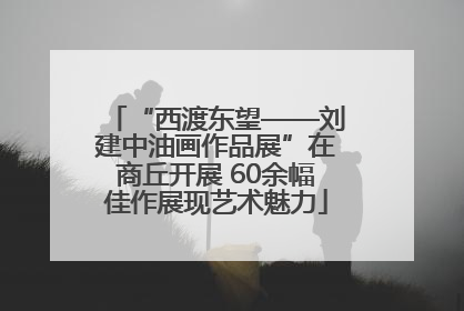 “西渡东望——刘建中油画作品展”在商丘开展 60余幅佳作展现艺术魅力