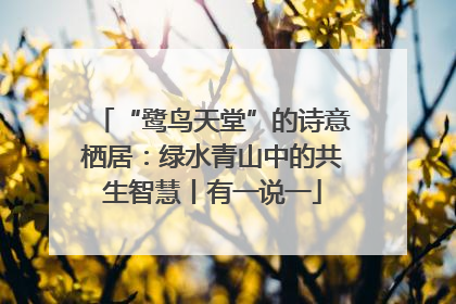 “鹭鸟天堂”的诗意栖居：绿水青山中的共生智慧丨有一说一