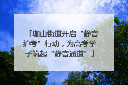珈山街道开启“静音护考”行动，为高考学子筑起“静音通道”