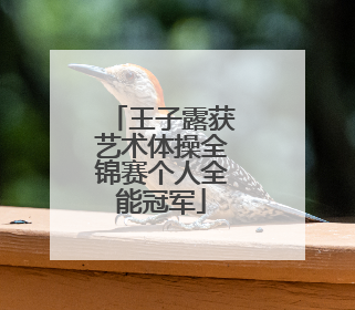 王子露获艺术体操全锦赛个人全能冠军